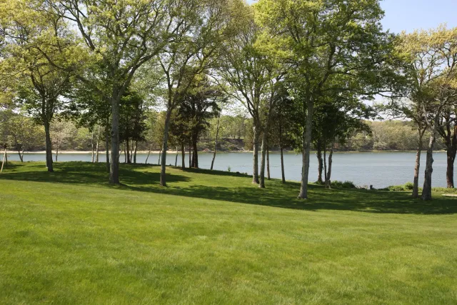 All Shore Tick and Tree Service work photo