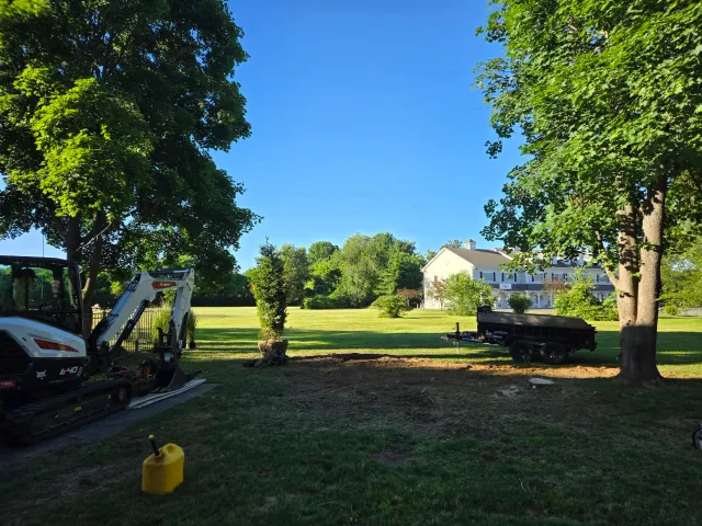 A backyard with trees, a small excavator, a black trailer, and a house in the background on a sunny day.