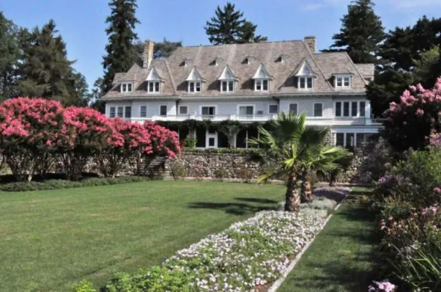 Copper Beech lawn.jpg