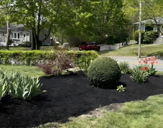 Your Local Partner for Quality Landscaping Content Image