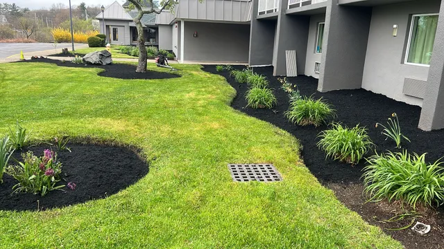 Regis Landscaping care Inc work photo