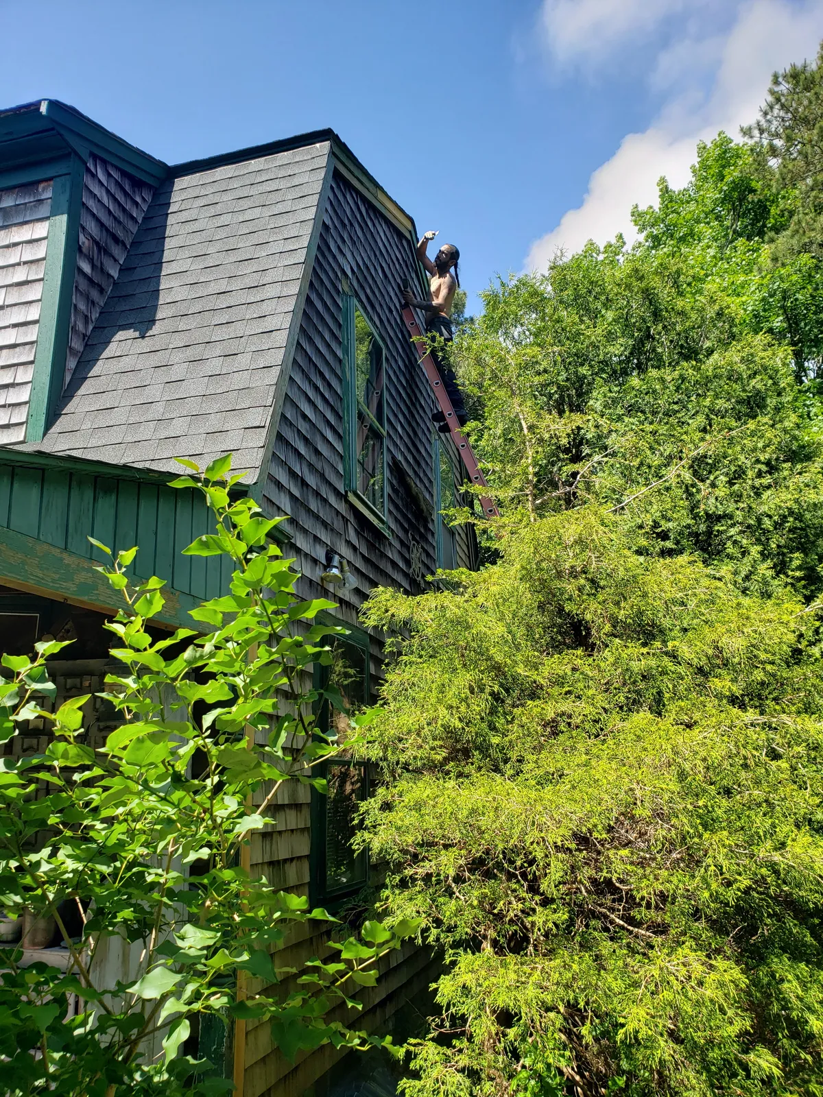 work photo from Google listing