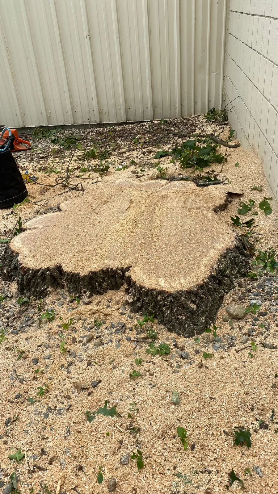 Sebastian Landscaping & Tree Services LLC