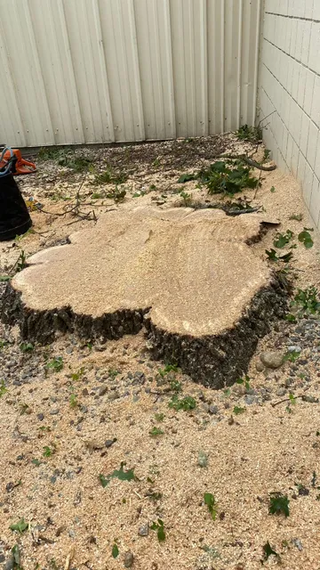 Sebastian Landscaping & Tree Services LLC