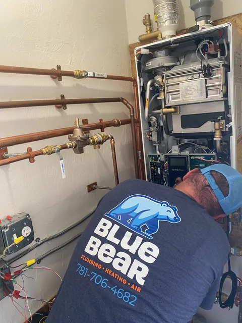 Blue Bear Plumbing, Heating & Air
