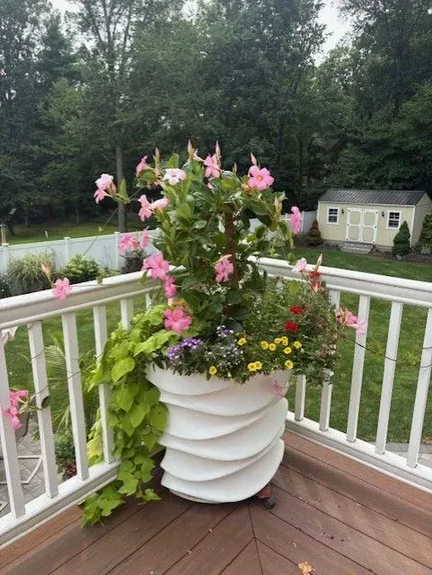A large white decorative planter overflowing with pink flowers and green foliage sits on a wooden deck, with a backyard visible in the background.