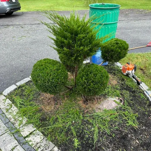 work photo from gardenedenlandscape.com