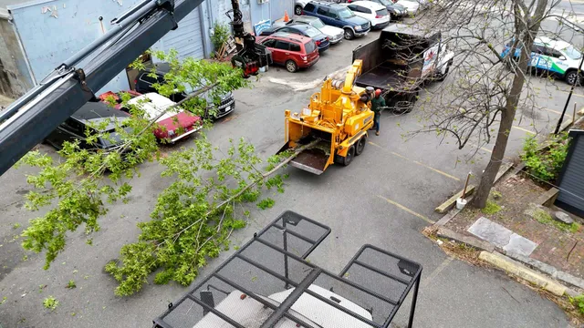 Eastern Tree Service researched project photo