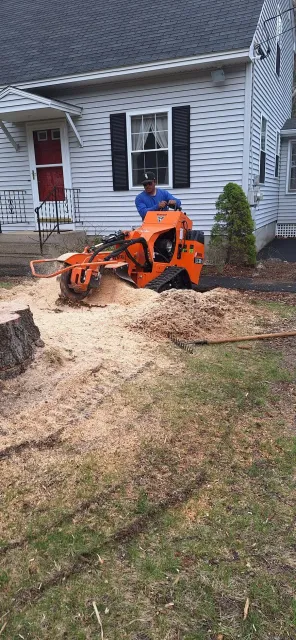 work photo from estebans-landscaping.com