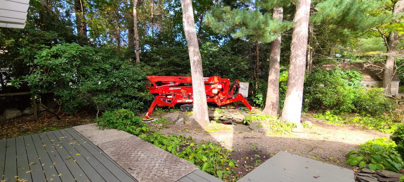 Image of Notch Your Average Tree Service team performing tree trimming and care for residential property.