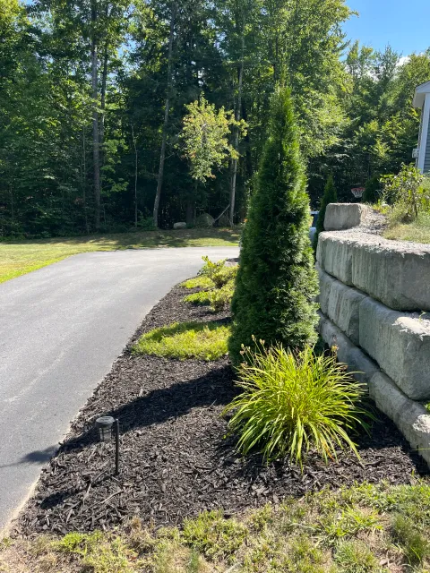 A landscaped yard with a mulched flower bed containing various green plants and small outdoor lights, a paved walkway, a rock retaining wall, and a backdrop of trees and a house.