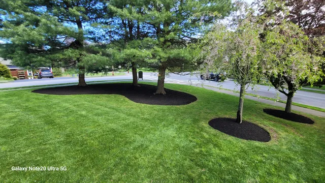 Mow and Grow Lawn Services work photo