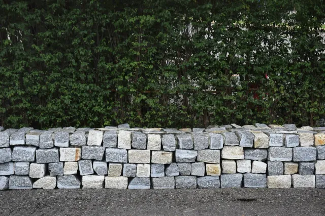 Features image