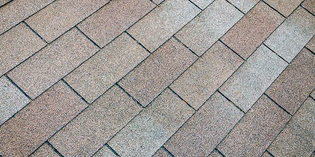 Roof cleaning