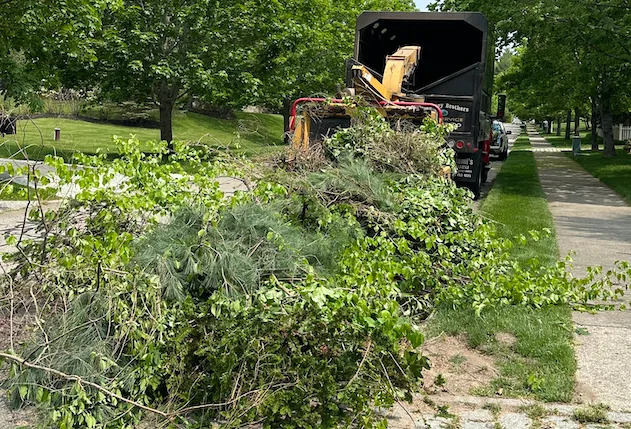 work photo from mckinneybrothers.com