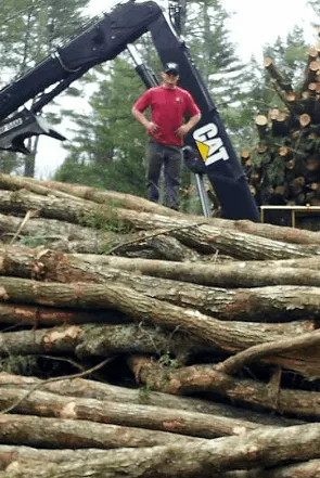 work photo from andersontimberharvesting.com