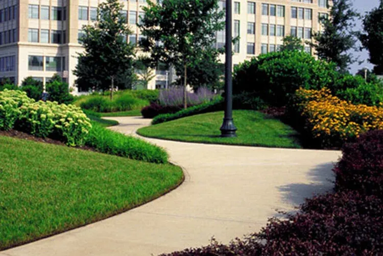 work photo from sanmarinolandscape.com