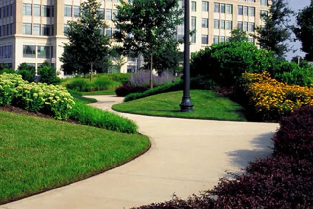 work photo from sanmarinolandscape.com