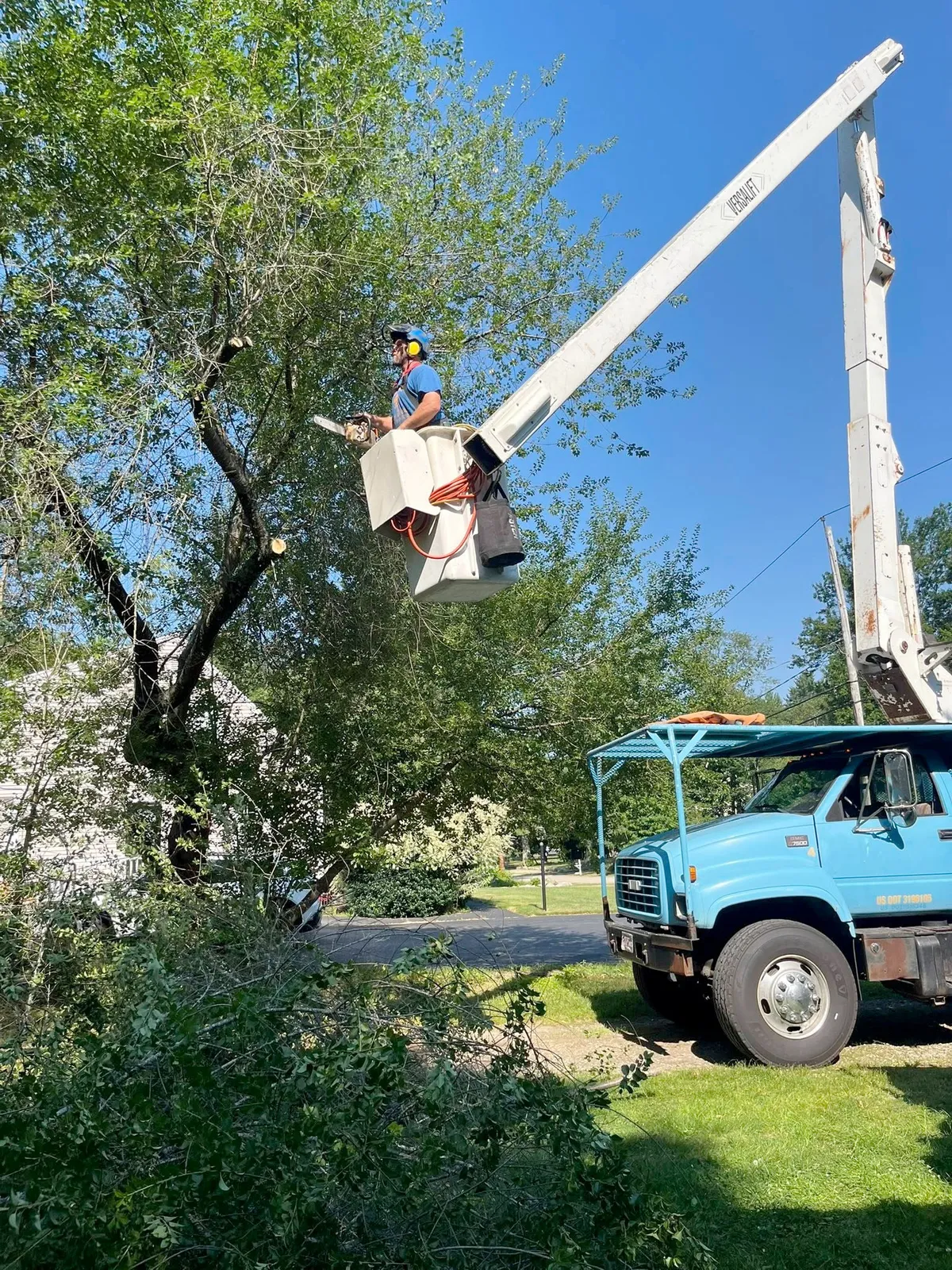 work photo from treeservicekingston.net