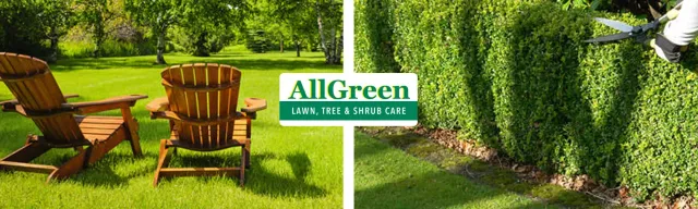 work photo from allgreenworld.com