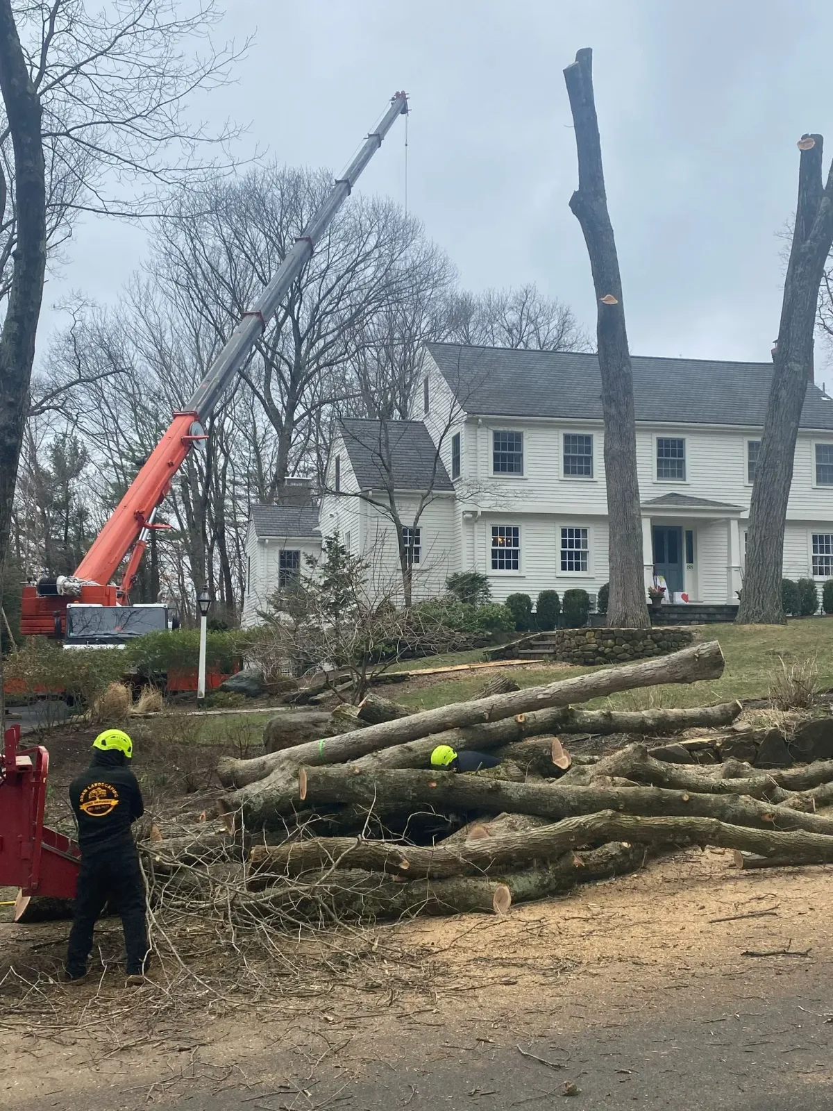 work photo from adantreeservices.com