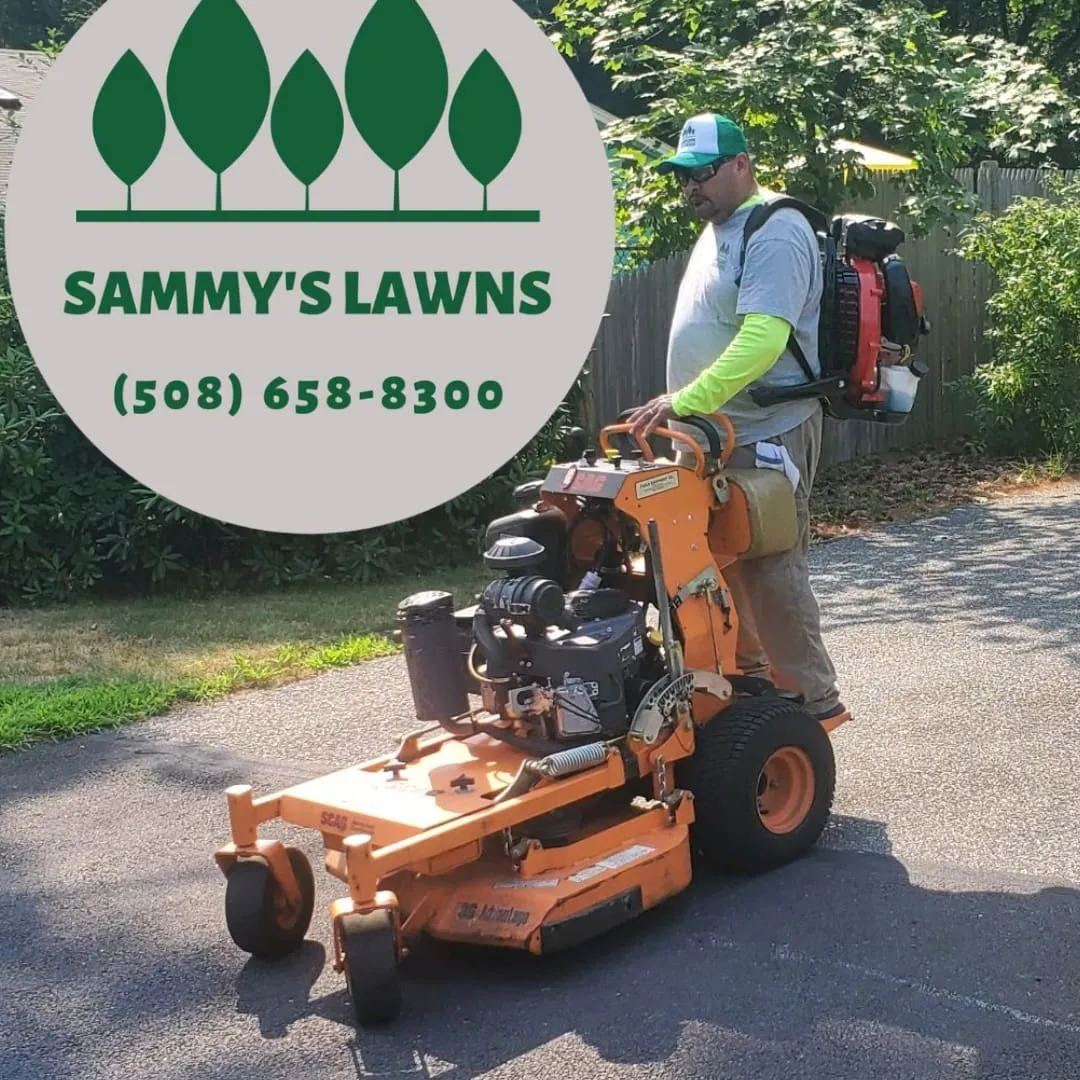 Sammy's Lawns