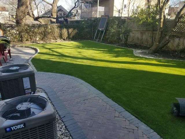 k9 grass