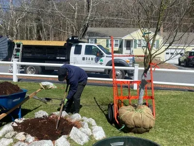 Tree Planting 12