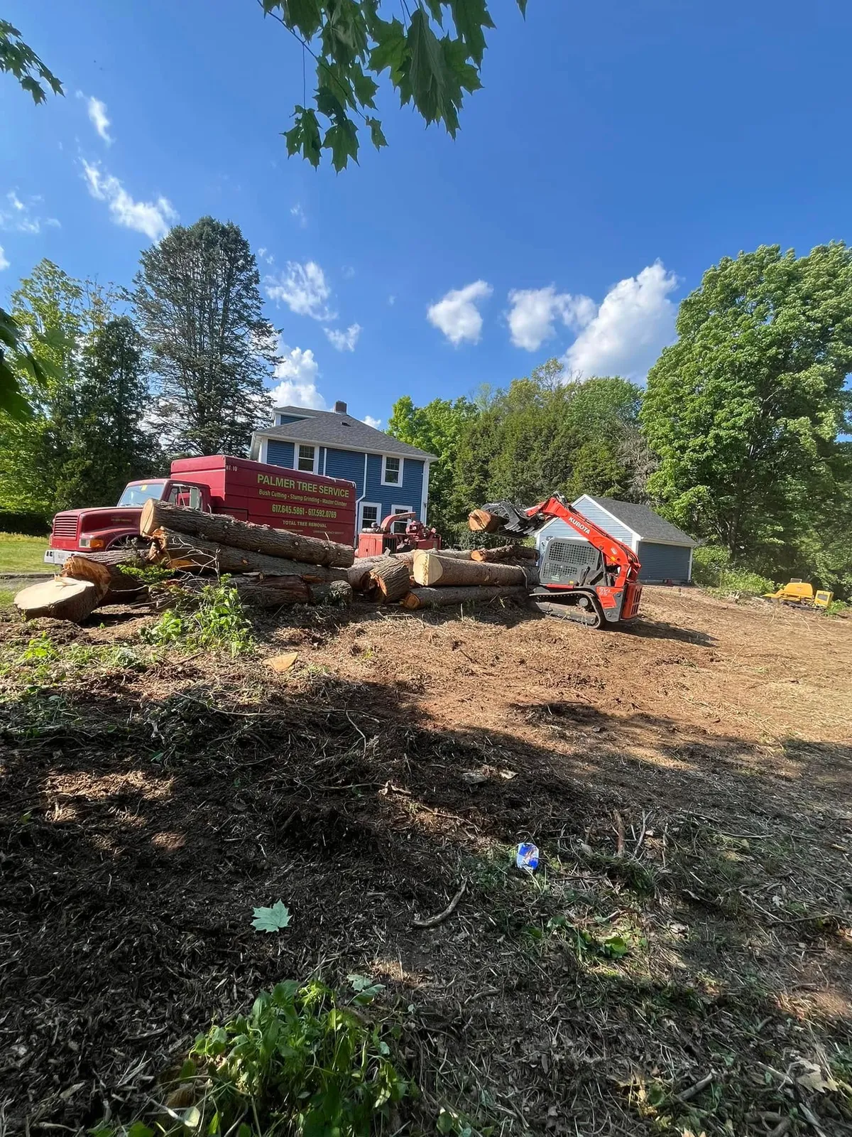 work photo from palmertreeservice.com