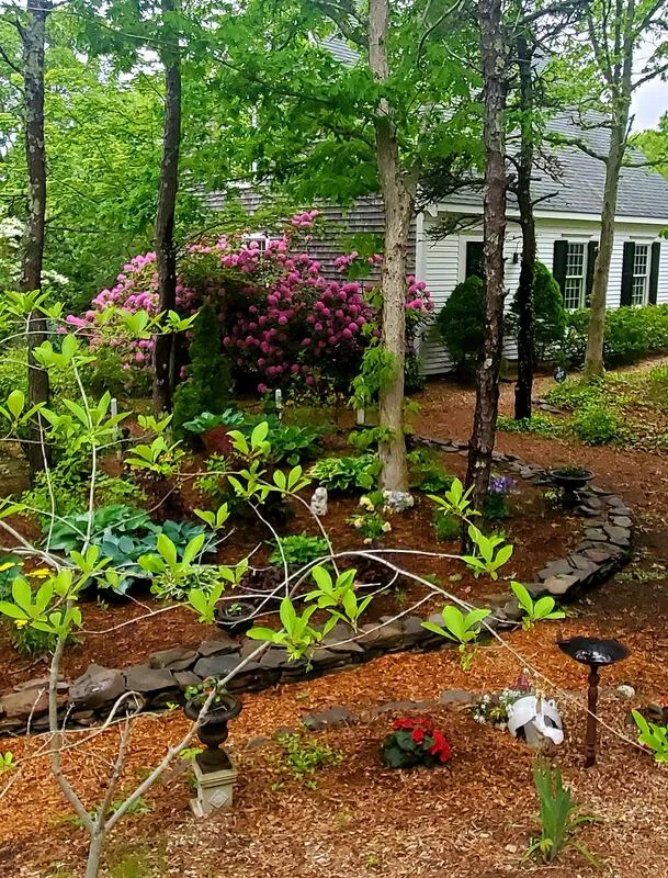 work photo from outercapegardens.com
