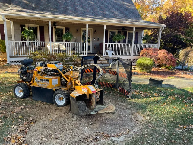 QJF Tree Services LLC work photo