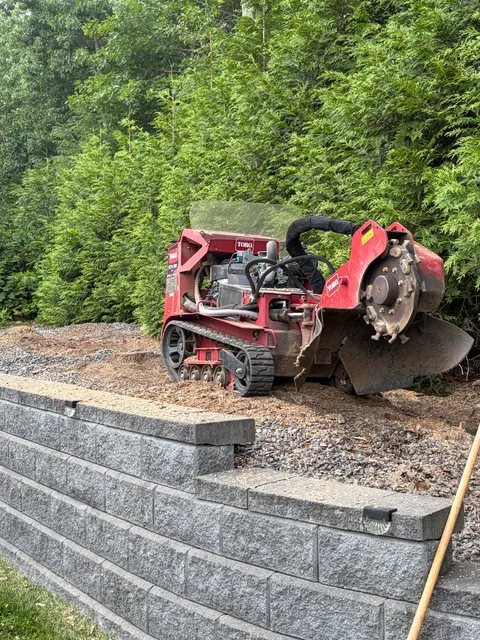 Auger’s stump grinding work photo