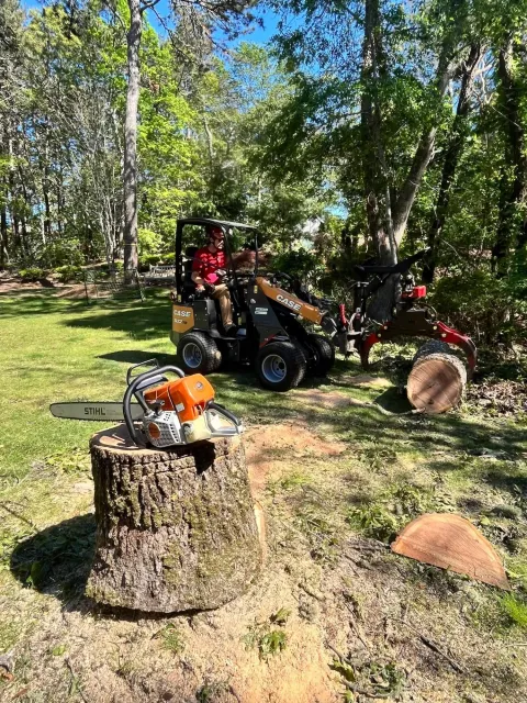 A person operating a small CASE skid-steer loader on a grassy area surrounded by trees, with a chainsaw resting on a tree stump in the foreground and cut logs on the ground.