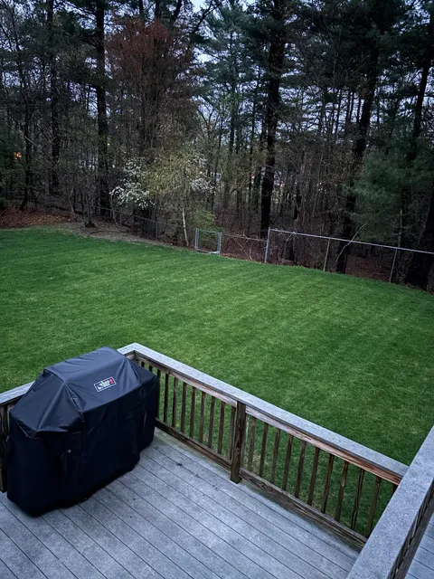 Truly Lawn