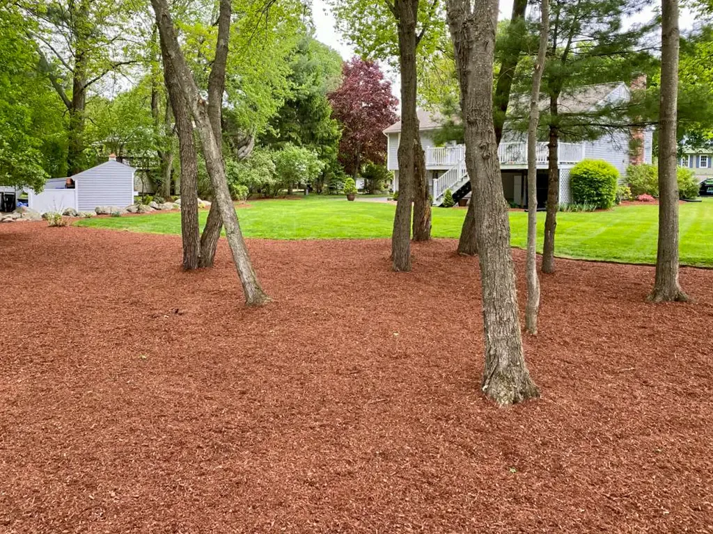 work photo from juniorlandscapingbedford.com