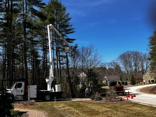 Review photo by P. C.
