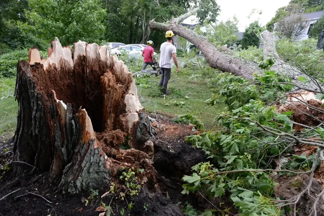 Cape Cod storm clean up service, storm clean up Cape Cod, professional storm clean up Cape Cod, emergency clean up Cape Cod, affordable storm clean up Cape Cod.