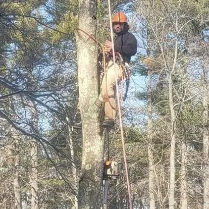 work photo from baboosictreelandscape.com