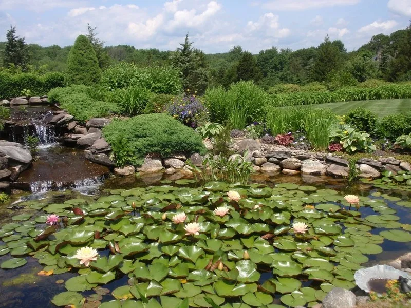 work photo from jbtreeandlandscape.com