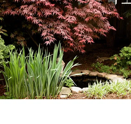 work photo from siriuslandscapes.com