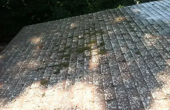 befor-power-wash