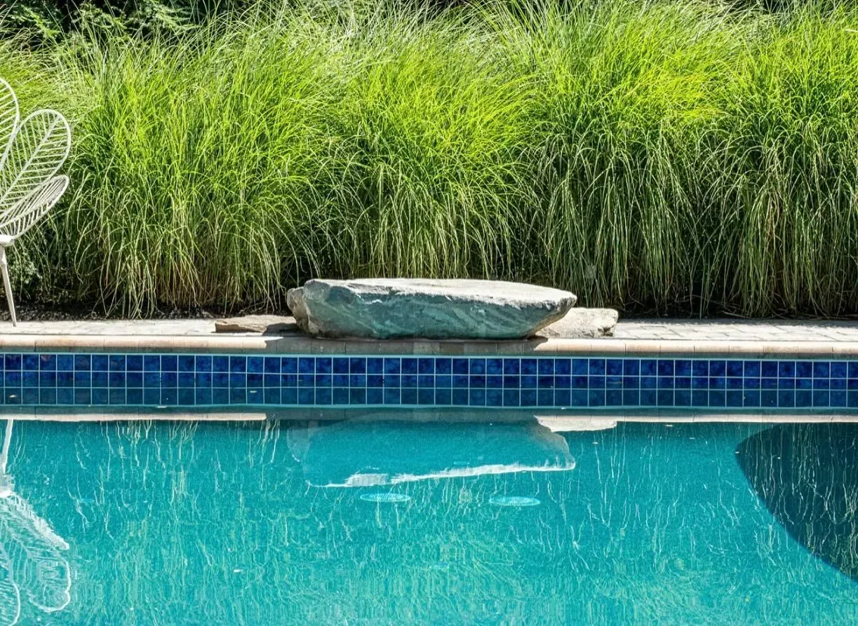 Swimming pool with blue tiles, stone border, and tall green grass backdrop.