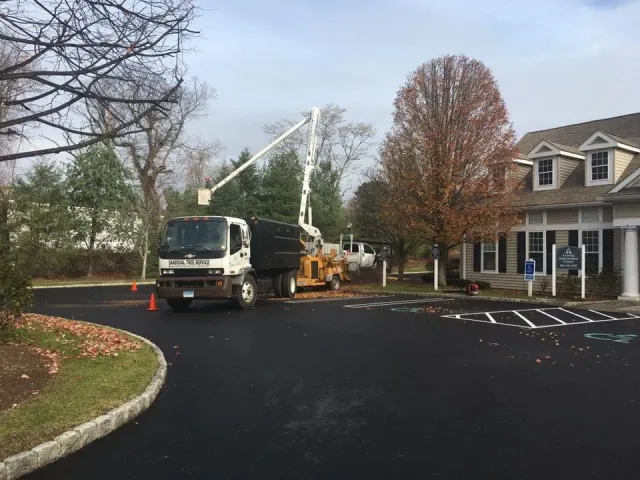 work photo from sandovaltreeservice.com