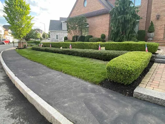 Tree Trimming on Rental Property