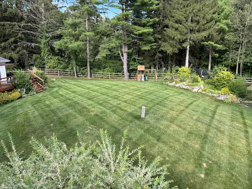 Weed Man Lawn Care work photo
