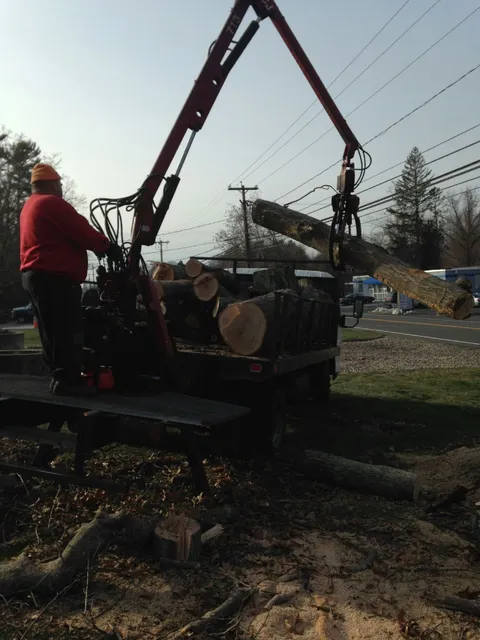 Michaud Tree Service & Landscaping, LLC work photo
