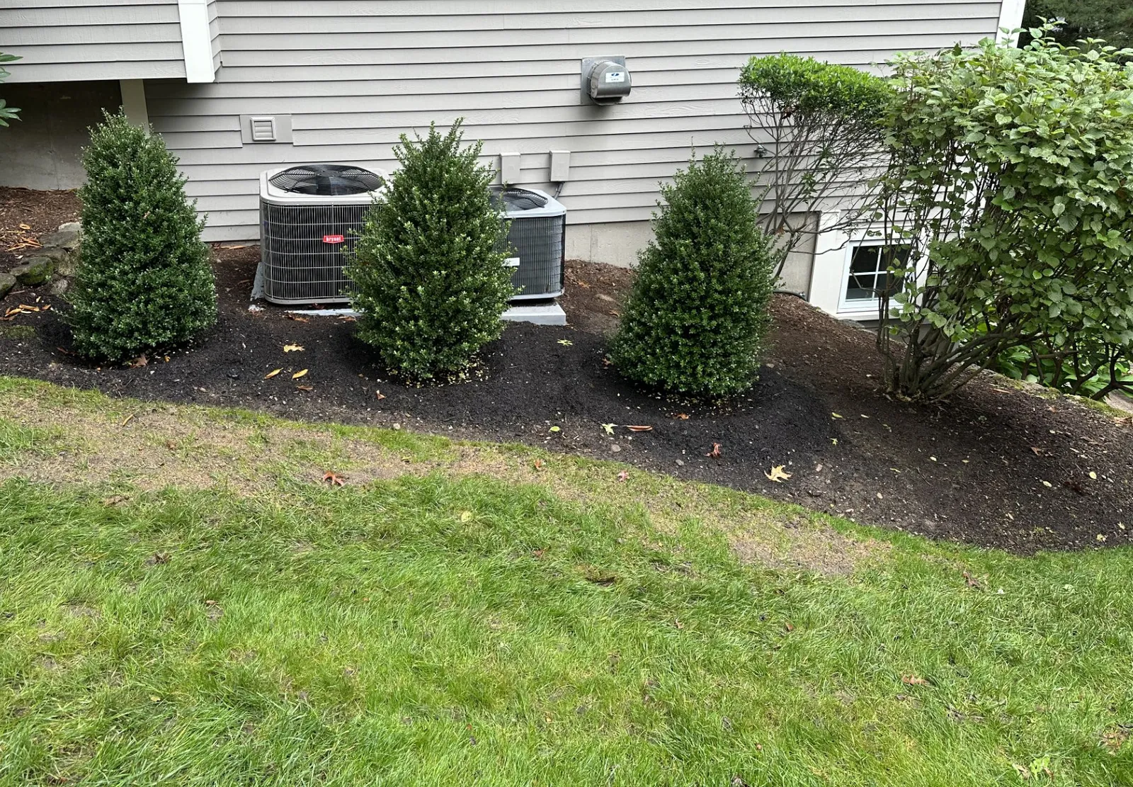 Planting and Transplanting