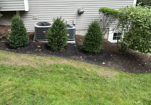 Planting and Transplanting