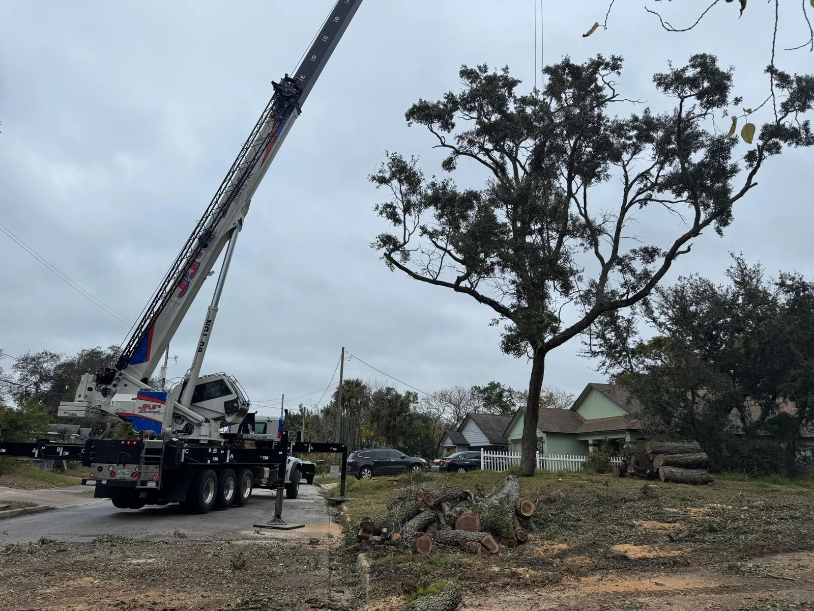 work photo from visionlandsandtreeservicesllc.com