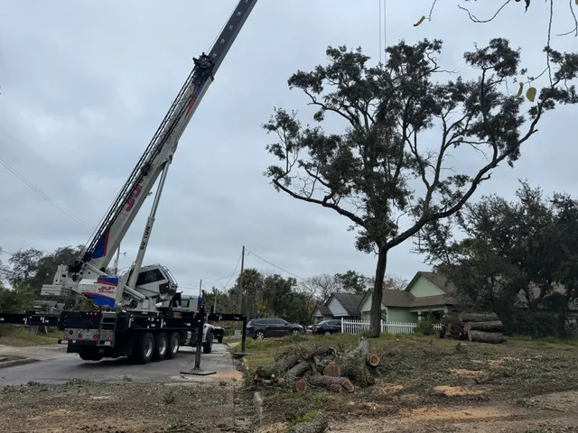 work photo from visionlandsandtreeservicesllc.com